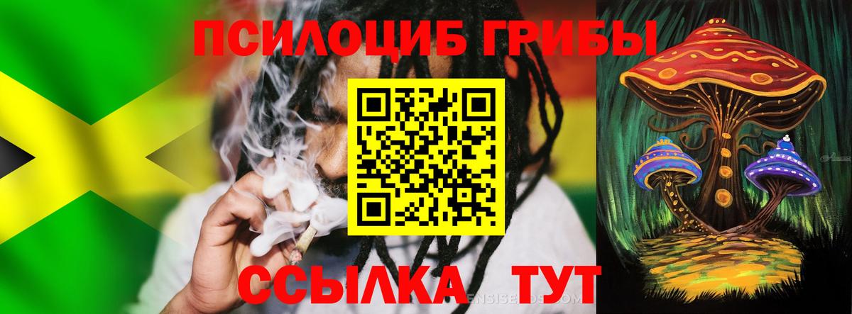 Звенигород  Псилоцибиновые грибы прущие грибы  Вход с VPN 